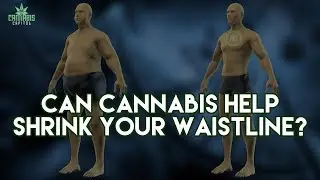 Can Cannabis Help Shrink your Waistline | Puff Piece