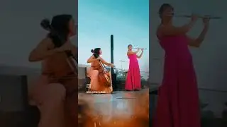 Unstoppable, Sia (cello + flute) 
