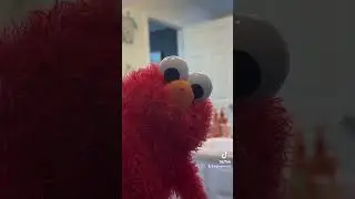 Elmo needs it