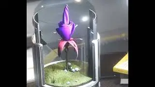 Audio Galactapedia:  Emperor Bloom / Die Kaiserblüte