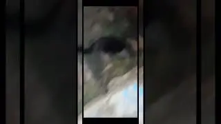Бобр курва ( классика )
