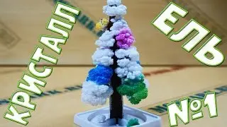 Выращивание кристаллов - Ёлочка за 6 часов