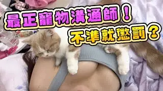 筑筑挑戰最正寵物溝通師，不準就懲罰！！萌萌竟然．．．
