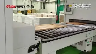 2-120 Automatic spraying line for UV painting of wooden doors
