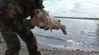 И снова водоём 