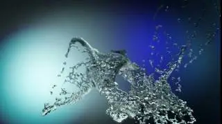 Olga realflow