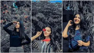 Moody Tone Lightroom Presets || Moody Tone Colour Grading Editing In Lightroom Mobile