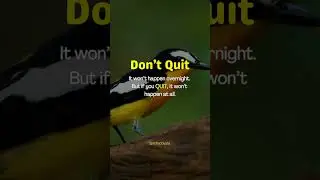 Don't Quit | Monday Motivation | Life Inspirational Quote #shorts #explore #lifequotes #motivation
