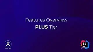 PLUS Features (IntelliJ)