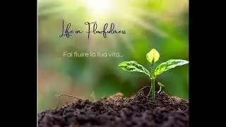 Meditazione, il radicamento