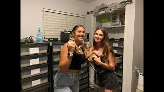 NO SHEDDING ISSUES HERE!!!