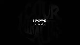 S.Pri Noir (Ft. Maes) - Mauvais (Visualizer)