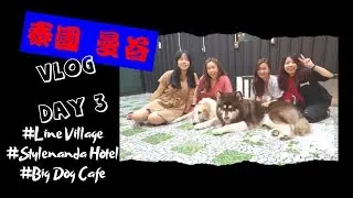 [T. Sher Vlog] Bangkok Day3 #买买买旅行团 #LineVillage#StylenandaHotel #BigDogCafe #RatchadaNightMarket