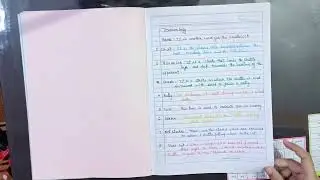 sport project on Ms dhoni (Circket) 2023 class 9,10