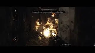 Just slayin- Hunt Showdown