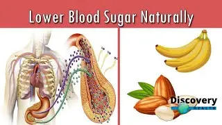6 Amazing plants that lower Blood Sugar naturally | Discovery Health