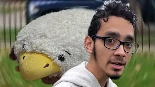 bird up moment