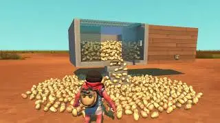 potato1