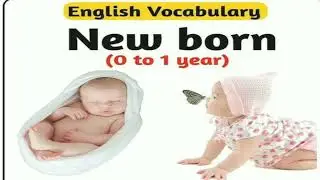 Most Important English Words Meaning | Words Meaning in Hindi | Vocabulary