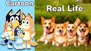 bluey Characters in real life 💥