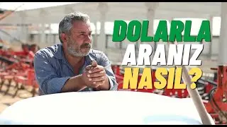 Dolar hayatınızın neresinde? Üretici kalem kalem dolarla ilişkisini anlattı.