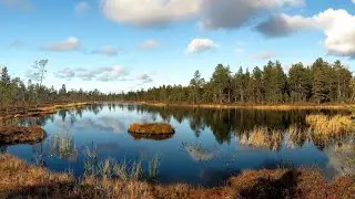 SECRET Relaxing Sleep Music • Deep Sleeping Music, Relaxing Music, Stress Relief, Meditation Music