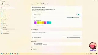 How to Turn off Text Cursor Indicator on Windows 11