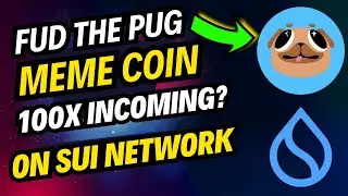 Fud The Pug Meme Coin On SUI Network | 100x Gem Buying Tutorial