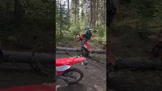 The Honda 