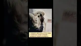 Сложная роль