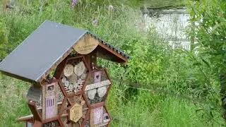 De natuur rond Insectenhotel De Biezaak.