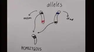 Basic of inheritance