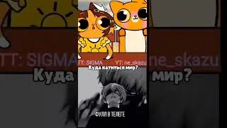 куда катиться мир...@simb  #shotrs #tiktok #рек #симба #тигра #угар2024 #1448
