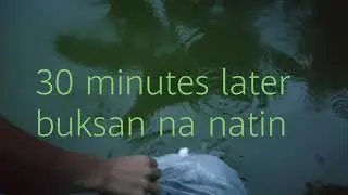 Primitive swimming pool nagihing palaisdaan #fishpond Recycled Channel