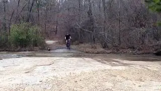 Harbins Park Mountain Biking