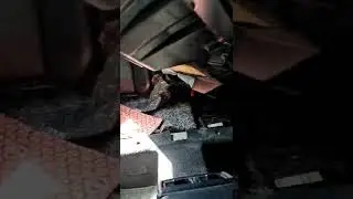 любовник жены с моей машиной сделал ужас 