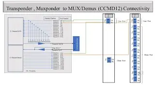 Physical Connectivity between Ciena Transponder/Muxponder to CCMD12 in Signal Flow of DWDM