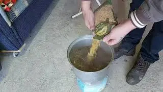 increase egg production