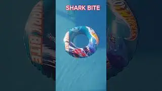Як креативно "зустрічають" московитів на курортах #shark #sharkbite #mediterranian #gopro