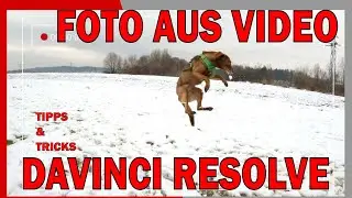 DaVinci Resolve 17: Foto aus Video