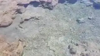 Красное море. Шарм эль шейх. Египет. Отель - Rehana Royal Beach Resort - Aquapark & Spa