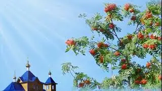 Скоро лето.