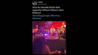 Uraz Kaygılaroğlu Ekin Koç