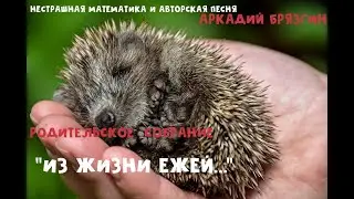 ИЗ ЖИЗНИ ЕЖЕЙ