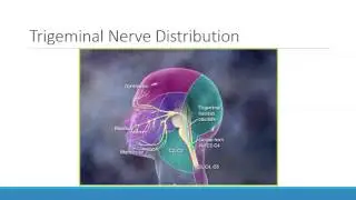 Sinus Headache vs  Migraine