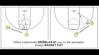 Dribble At - Motion Offense