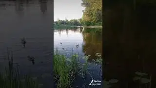 Воспоминания ушедшего лета 