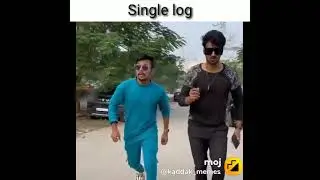 single log