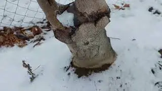 Как опохмелился цементом))) всем спасибо за поздравления😊