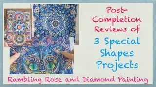Post-Completion Reviews of 3 Special Shapes Diamond Painting Projects